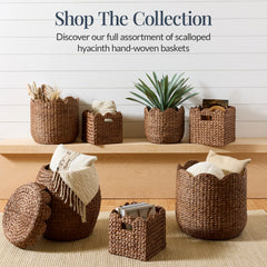 Scalloped 3PC Water Hyacinth Nesting Baskets