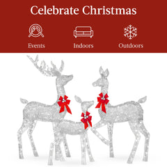 3-Piece Lighted Christmas Deer Set Outdoor Decor with LED Lights